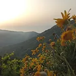 Agroturismo Il Giglio *