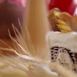 Agroturismo Il Giglio