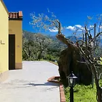 Il Giglio Pettineo
