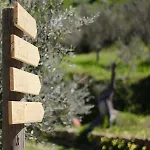Il Giglio *