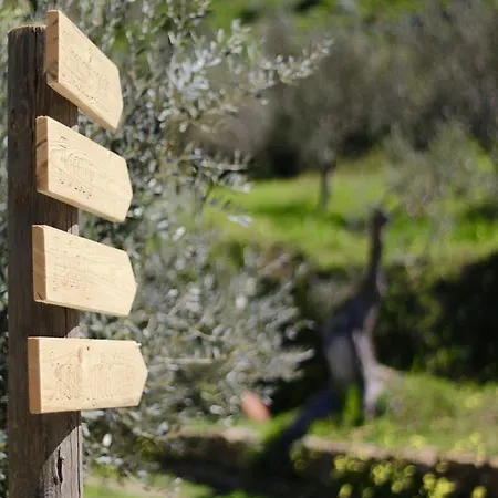 Il Giglio *