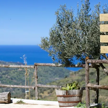 Il Giglio * Pettineo